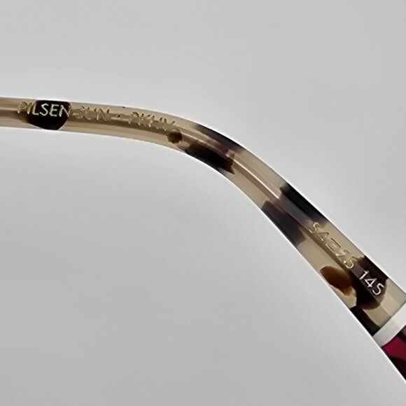 Etnia Barcelona Pilsen Gold Frame Photochromic Pink Flash Aviaitor Sunglasses main image 9